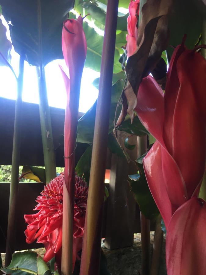 Coeur Creole Le Tampon Exterior foto